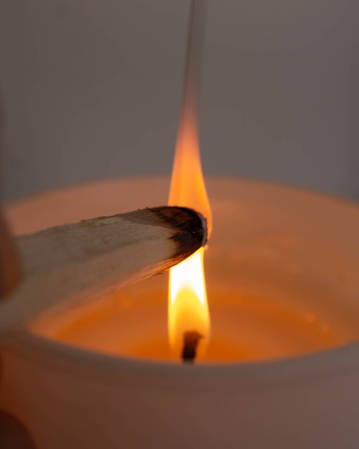 Ecuadorian Palo Santo Bundle, Intentions: New Beginnings